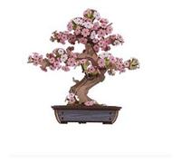 ROLIFE - SAKURA BONSAI Multicolore