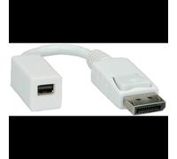ROLINE Adaptateur DisplayPort mâle vers Mini DisplayPort femelle, 0.15m, Blanc, Connecteur 1 DisplayPort mâle, Connecteur 2 Mini DisplayPort femelle