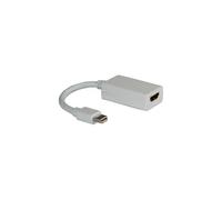 Roline adaptateur vidéo - DisplayPort / HDMI - 10 cm