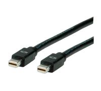 ROLINE Câble DisplayPort Mini DP M - Mini DP M 2,0m