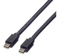 ROLINE Câble DisplayPort Mini DP M - Mini DP M, noir, 3 m