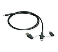 ROLINE Câble USB 2.0 type C, ST/ST, avec adaptateurs de blocage de données type C, 1 m
