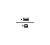 ROLINE Câble USB 2.0 Type A-B 4.5m