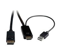 Roline - Câble vidéo - HDMI, USB (alimentation uniquement) mâle pour DisplayPort mâle - 3 m - blindé - noir - support pour 4K60Hz (3840 x 2160)
