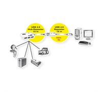 ROLINE Hub USB 2.0 4 ports avec répéteur, 12 m