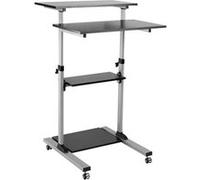 ROLINE PC Standing Workstation - Pied - pour affichage LCD/clavier/souris/unité centrale/imprimante - plastique, métal - gris, noir G