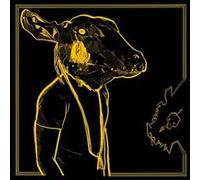 Shakey Graves – Roll The Bones X – CD – Édition 10e anniversaire (Digipak)