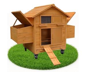 rollbarer Poulailler/poulailler avec 2 boîtes Nid et rampe