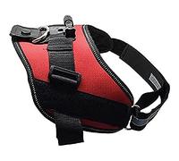 Rollei Dog Mount - Harnais de Chien Universelle - pour Les caméras d'action Rollei 200/300/ 400/500 et GoPro