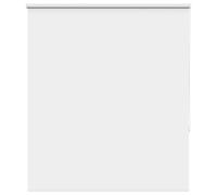 Roller Blind, Roller Blinds,store Enrouleur vidaXL