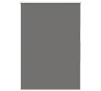 Roller Blind, Roller Blinds,store Enrouleur vidaXL
