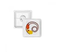 Roller Coaster Amusement Park Illustration PBT Clavier Mécanique Blanc OEM sans Marquage R4 Multicolore
