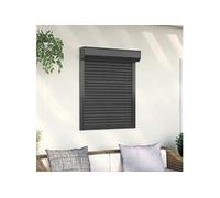 Rolluik 70x100 cm aluminium antracietkleurig144976