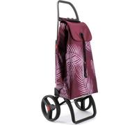 Rolser Einkaufstrolley I-Max Costa Rica - Chariot à commissions pliable avec 2 grandes roues, 43L, cadre en aluminium, charge jusqu'à 40 kg Rolser Einkaufstrolley I-Max Costa Rica - Chariot à commissi