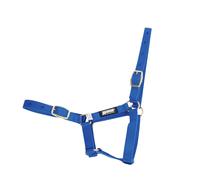 Roma Licol pour poulain WB390 (poulain) (bleu)