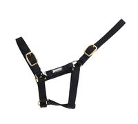 Roma Licol pour poulain WB390 (poulain) (Noir)