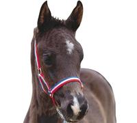 Roma Licol pour poulain WB390 (poulain) (rouge/blanc/bleu)