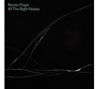 Roman Flügel - All The Right Noises