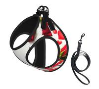 Romance Ensemble harnais et laisse pour chat et petit chien, réglable, réfléchissant et anti-fugue avec doublure en maille douce et respirante