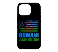 Romani américain | Roma Traveller & Drapeaux USA Vieilli Coque pour iPhone 16 Pro