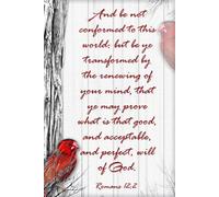 Romans 12:2: And be not conformed to this world: but be ye transformed by the renewing of your mind, that ye may prove what is that good, and ... of God. - Journal Book - Beautiful Red Bird