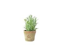 Esschert's Design AH011 Pot de Fleurs artificielles en Terre Cuite vieillie Romarin