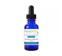 Romarin Bio Aquagemm Macérât De Bourgeons Sans Alcool Gemmothérapie