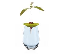 Romberg Ensemble de Culture "Avocat" - 1 pcs