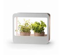 Romberg Homegarden Mini Serre d'intérieur avec éclairage LED Blanc 50,5 x 21 x 40 cm