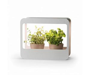 Romberg Homegarden Mini Serre d'intérieur avec éclairage LED Blanc 50,5 x 21 x 40 cm