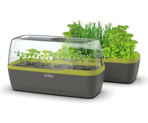 Romberg Mini-Serre & Jardinière BoQube L | Anthracite-Vert clair - 1 pcs