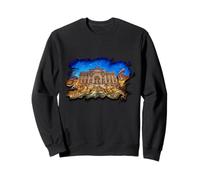 Rome Fontaine de Trevi Italie Souvenir Italie Vacances Sweatshirt
