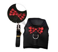 ROMISBABA 1 Ensemble Harnais pour Animaux de Compagnie Maille Respirante Ensemble de Laisse et Gilet Ajustable pour Chiens Confort Optimal Année S pour Canicross et