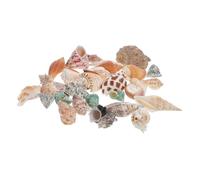 ROMISBABA 1ensemble Décoration Naturelle De Conch pour Aquarium Accessoire Élégant pour Poissons Et Crabes Décor De Réserve Aquatique Effet Visuel Attrayant