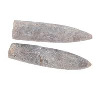 ROMISBABA 2 Pièces Spécimens Bélemnite Naturelle pour Études Géologie Paléontologie Éducation et Décoration Scientifique