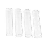 ROMISBABA 4 pièces Set de Vases Tube Verre Transparent pour Hydroponie et Fleurs Support Minimaliste pour Plantes Intérieur Décoration Moderne pour Salon