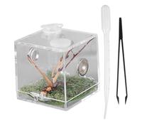 ROMISBABA Boîte D’élevage Pour Reptiles Transparente En Acrylique Avec Ventilation - Taille Moyenne - Adaptée à L’élevage De Reptiles, Araignées Et Insectes - Usage Terrarium Pour Animaux De Compagnie