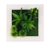 ROMISBABA Cadre Photo Mural Plante Artificielle Succulente Décoration Murale Végétale Imitation Succulente Cadre Léger Suspendu pour Salon Bureau et Balcon Décoration Intérieure
