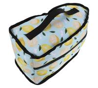 ROMISBABA Étui de Rangement Zippé pour Fer à Vapeur Portable avec Poignée, Housse de Protection Imperméable Haute Densité, Mallette Compacte pour Fer à Repasser de Voyage et Défroisseur