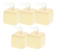 ROMISBABA Pierres à Mâcher en Substance Minérale pour Petits Animaux 5pcs Beige Éliminent et Attirent L'attention pour Lapin et Chinchilla