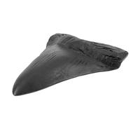 ROMISBABA Réplique Réaliste de Dent de Requin Mégalodon Fossile Préhistorique Décoratif Modèle Léger pour Enseignement et Collection