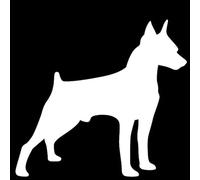 ROMOER Autocollants Décoratifs pour Fenêtre De Voiture, Pinscher Miniature, Terrier Écossais, 13x12CM, Motif Animal, À La Mode, Style De Voiture(2 pièces)