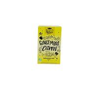 ROMON NATURE / PLANTASIA - INFUSION PLAISIR GINGEMBRE CITRON X16INF