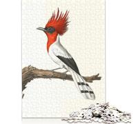 Rompecabezas de 1000 piezas Con ilustración de pájaro Cresta Roja Para adultos y Adolescentes. Rompecabezas de Papel Para diversión Familiar y Noches de juegos. 1000 piezas (75 x 50 cm).
