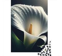 Rompecabezas de 1000 piezas Las Bellezas Para adultos. Rompecabezas de Madera Para Adolescentes, Hombres y Mujeres. Regalo de 1000 piezas (75 x 50 cm).