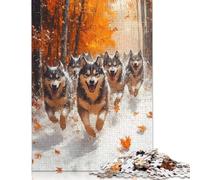 Rompecabezas de 1000 piezas Para adultos, diseño de Perros esquimales corriendo en Un Bosque otoñal. Rompecabezas educativo Para Adolescentes, juguete de desafío, Regalo de Navidad(75 x 50 cm).