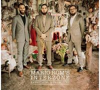 Rom's, Mario Interzone - Everything is Permitted [Import]