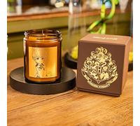 Ron Weasley, Bougie parfumée Harry Potter en cire naturelle de colza, parfum gourmand de citrouille épicée et cannelle, 40h de brûlage, fabriqué en France, idée cadeau