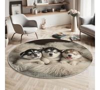 Rond Tapis Antidérapant, Couverture Husky Chaise Dordinateur Moquette, Mignon Animal Blanc cassé Salon Anti Slip Tapis de Sol Grand pour Couloir, Chambre, Cuisine, Table, 80cm