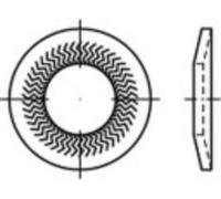 Rondelle à dents de blocage 10 mm 22.25 mm Acier à ressort galvanisé 250 pc(s) Alstertaler Schrauben & Präzisionsteile 159402